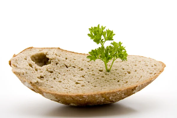 Crust bread with parsley — Stock Photo, Image