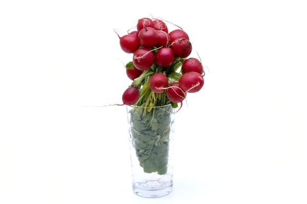 Fresh radishes in the glass — Stock Photo, Image