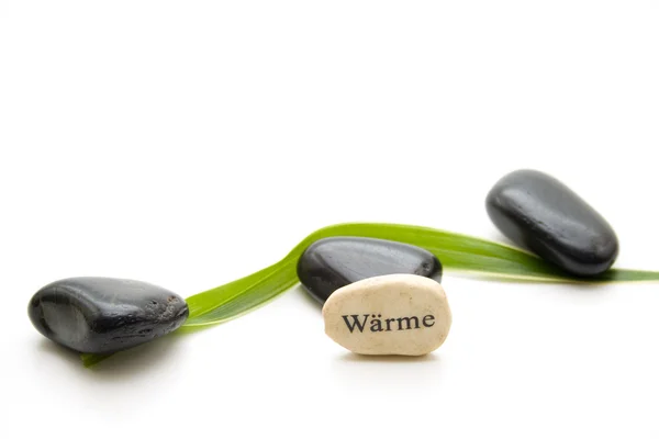 Stones with plant leaf — Stock Photo, Image