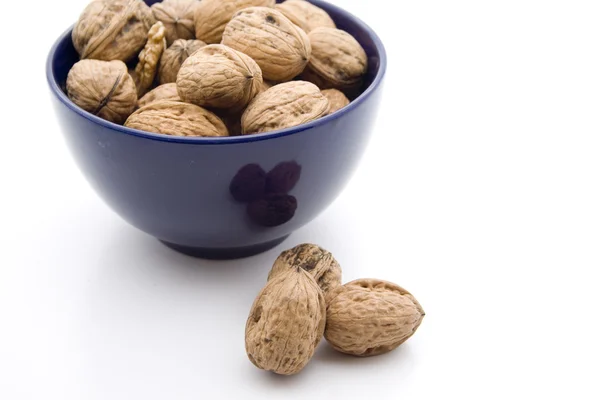 Walnuts in porcelain bowl — Stock Photo, Image