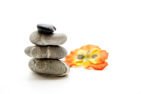 Stones with flower blossom — Stock Photo, Image