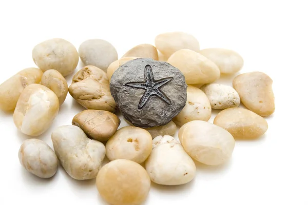 Kameny s sea star kámen — Stock fotografie