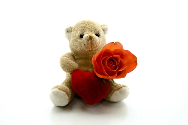Teddy bear with red rose — Stock Photo, Image