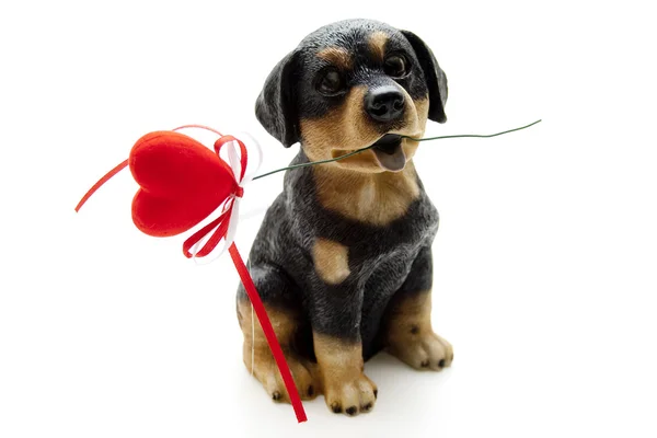 Cane con cuore — Foto Stock