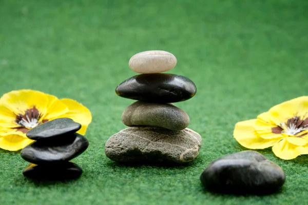 Stones with flower blossoms — Stock Photo, Image