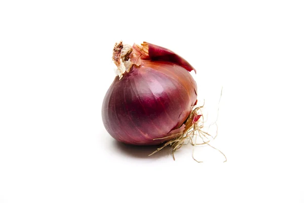 Fresh red onion — Stock Photo, Image