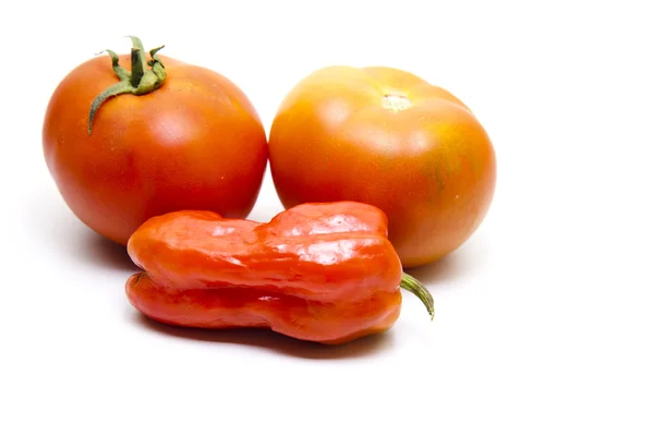 Tomates rojos frescos —  Fotos de Stock