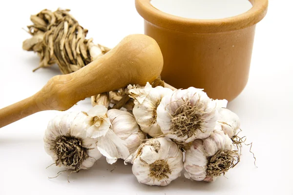 Fresh garlic with mortar — Stock Photo, Image