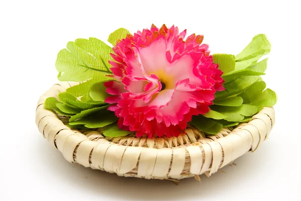 Цветок на тарелке — стоковое фото