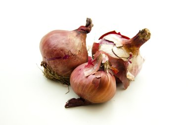 taze kırmızı sebze soğan