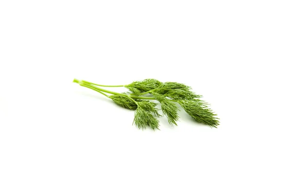 Fresh dill herbs — Stock Photo, Image