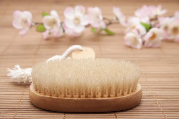 Back brush — Stock Photo, Image