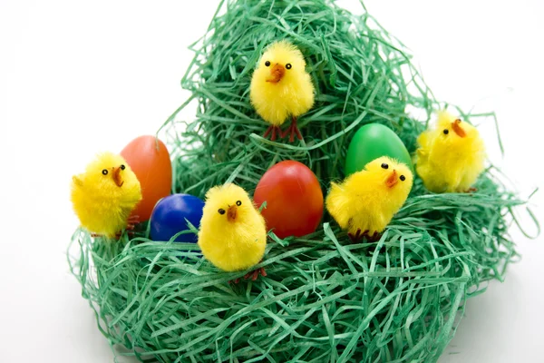 Easter fledglings — Stock Photo, Image