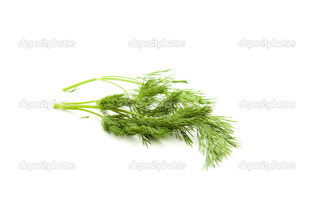 Aneth Images Libres De Droit Photos De Aneth Depositphotos Aneth Images Libres De Droit Photos De Aneth Depositphotos