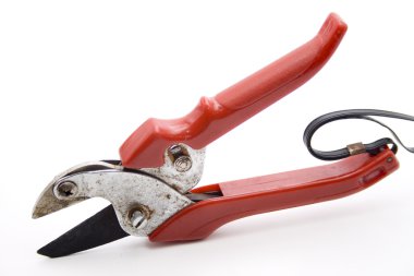 bitkiler için makas