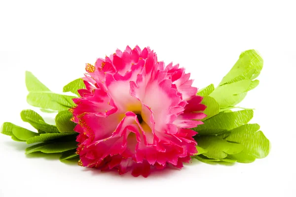 Flor con hojas — Foto de Stock