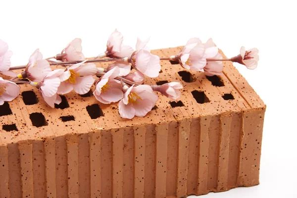 Brick stone with flowering branch — Stock Photo, Image