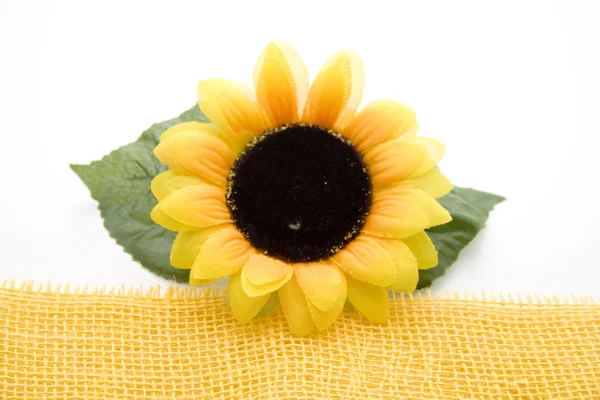 Sunflower with wrapping tape — Stock Photo, Image