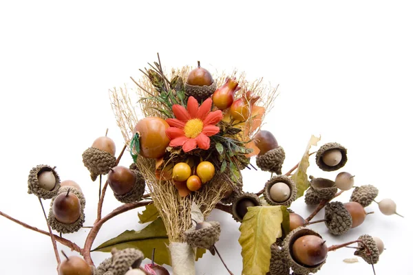 Flower with acorn wreath — Stock Photo, Image