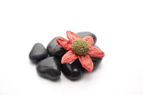 石と花の花 — ストック写真