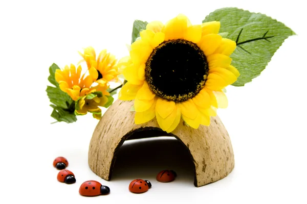 Wooden beetle with sunflower — Stock Photo, Image