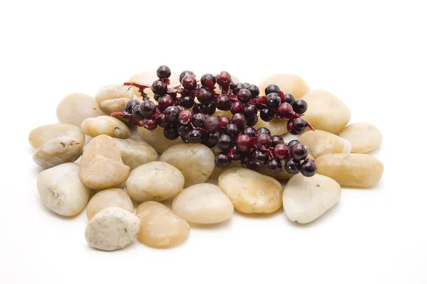 Berry dalı taşlar ile — Stok fotoğraf