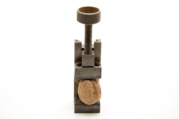 Walnut — Stock Photo, Image