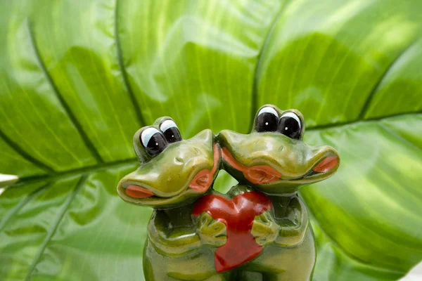 青蛙双心 — 图库照片