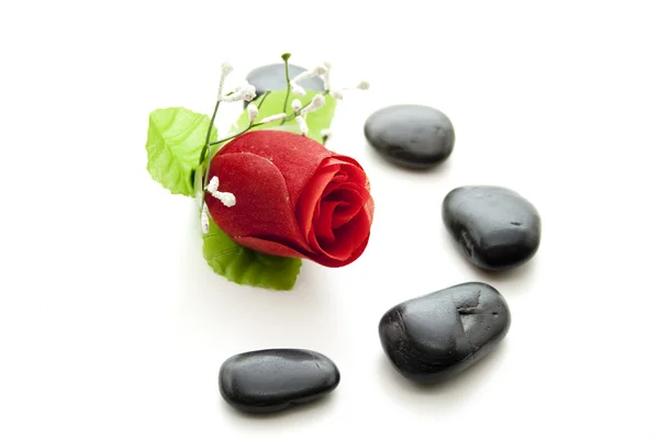 Roses with natural stones Stock Picture