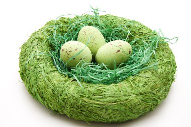 Easter eggs with Easter grass