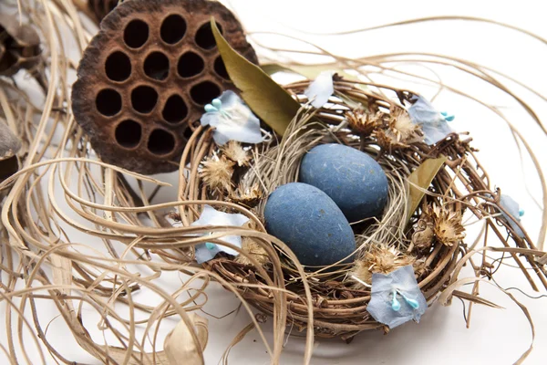 Bird nest with eggs — Stock Photo, Image