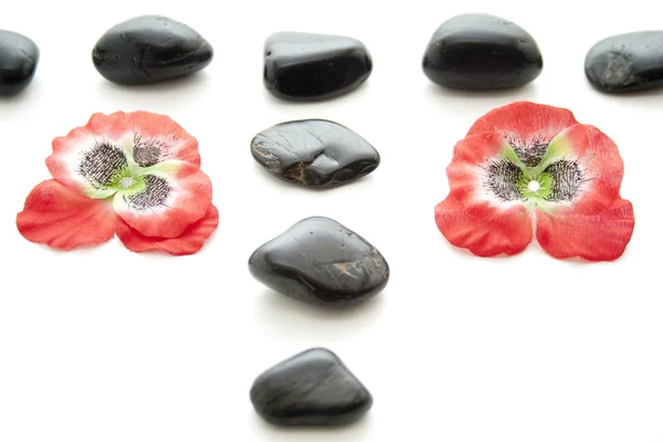 Pedras pretas com flor — Fotografia de Stock