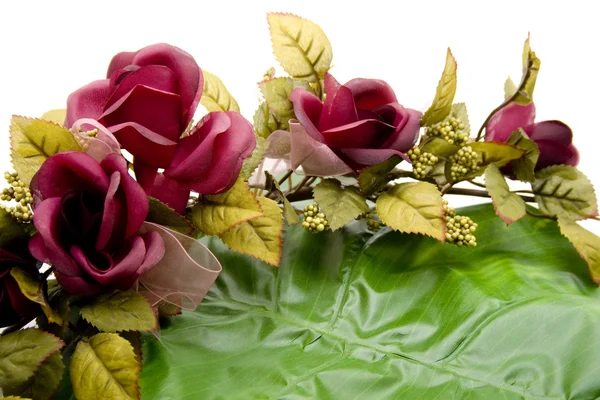 Guirnalda de rosas con hoja de planta —  Fotos de Stock