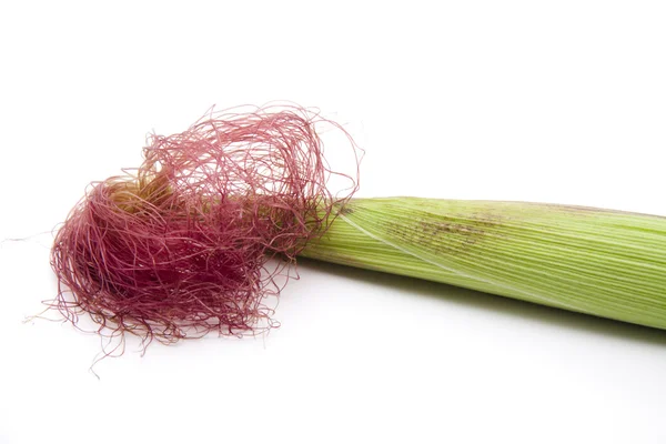 taze corncobs
