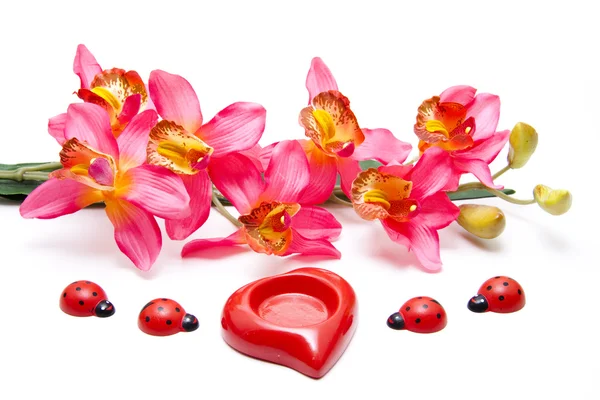 Orchidej s keramickými srdce — Stock fotografie