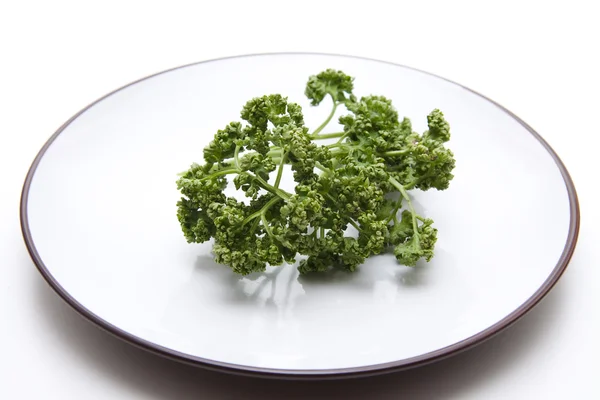 Fresh green parsley — Stock Photo, Image