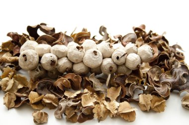 Berry dalı potpuri ile