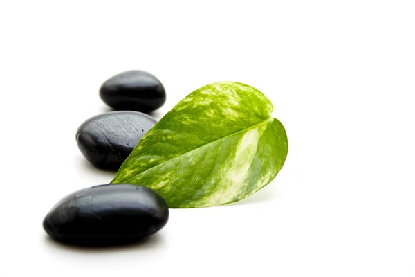 Plant leaf with stones — Stock Photo, Image