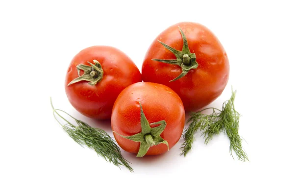 Frische Tomaten — Stockfoto