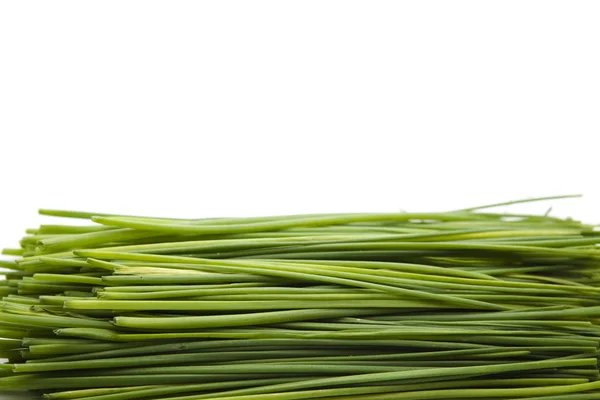 Chives — Stock Photo, Image