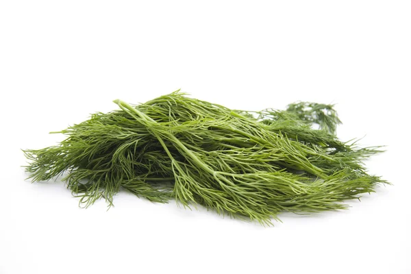 Dill — Stock Photo, Image