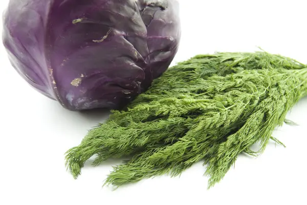 Red cabbage and dill — Stock Photo, Image