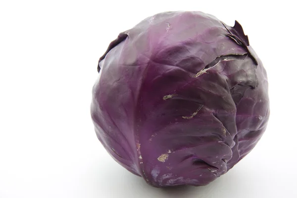 Red cabbage — Stock Photo, Image