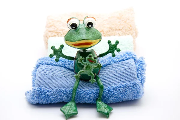Frog with washcloth — Stock Photo, Image