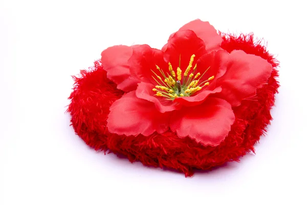 Hibiscus blossom with heart — Stock Photo, Image