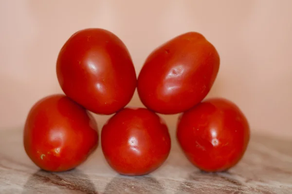 Röda tomater — Stockfoto