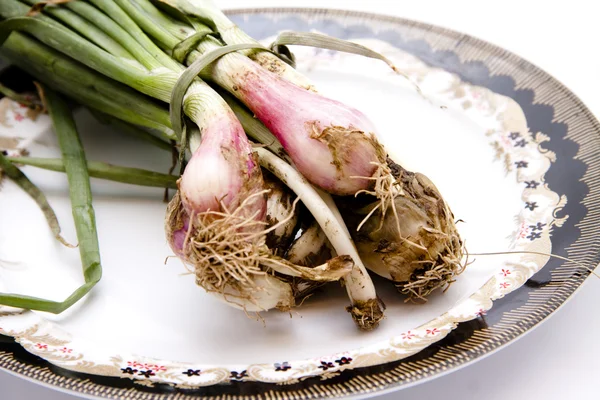 Cebola de alho-poró fresca — Fotografia de Stock