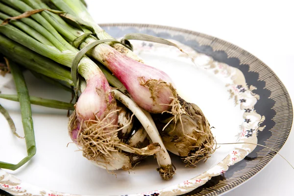 Fresh leek onion — Stock Photo, Image