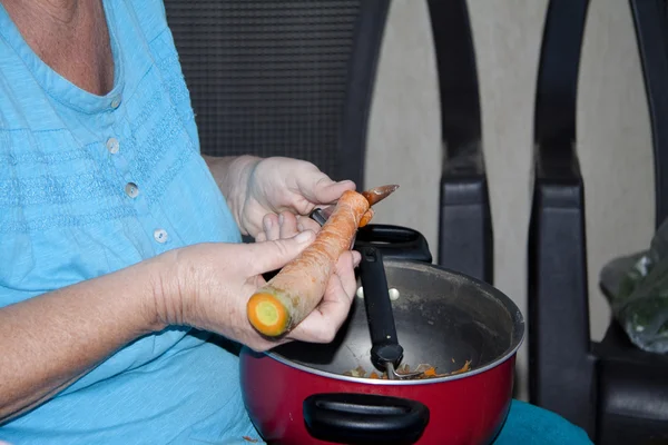Zanahoria en la mano — Foto de Stock