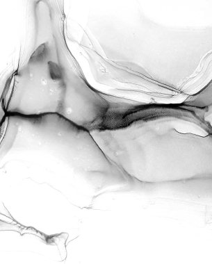 Tek renkli mürekkep sıvısı. Kömür deseni. Gümüş kompozisyon. Dekorasyon tasarımı için gri tonlu suluboya ile klasik çizim. Modern sanat. Gümüş lekeli yüzey. Soyut yazdırma.